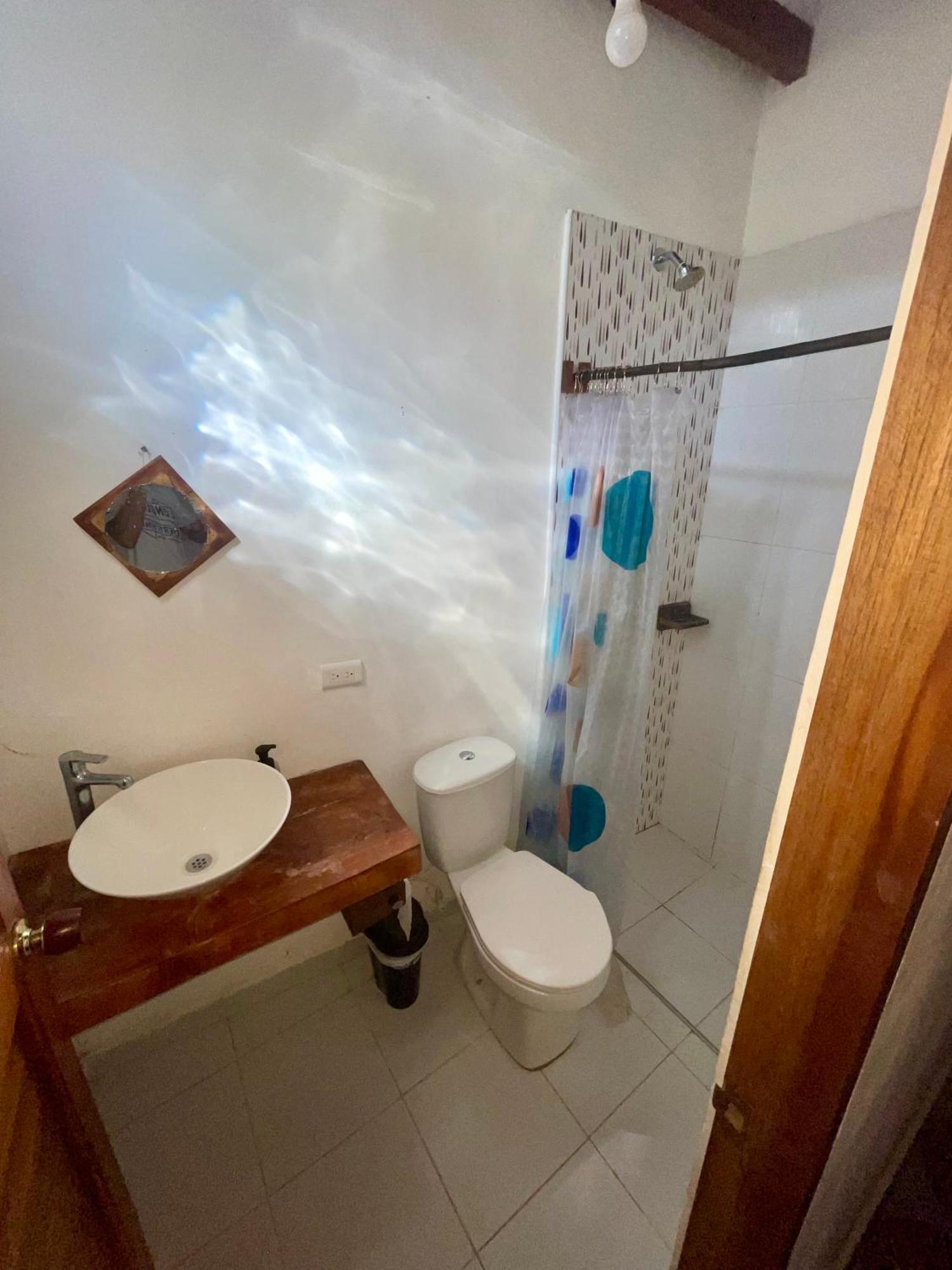 Casa Palum Private Room Private Bathroom Palomino Kültér fotó